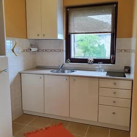 Apartman Soko Banjica Sokobanja