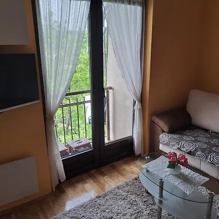 Apartman Soko Banjica Sokobanja