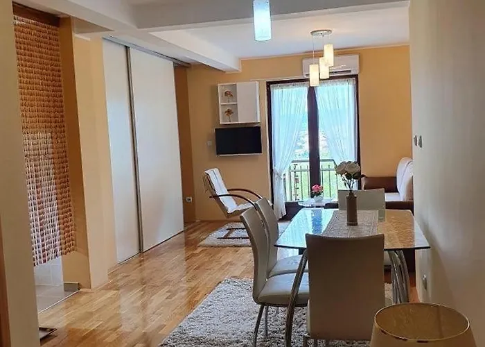 Soko Banjica Apartment *