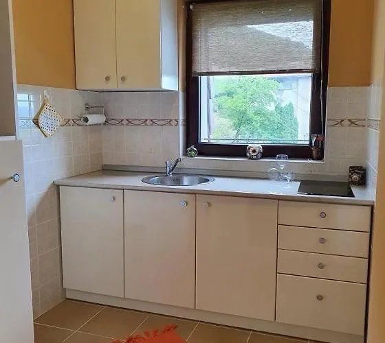 Apartment Soko Banjica Sokobanja