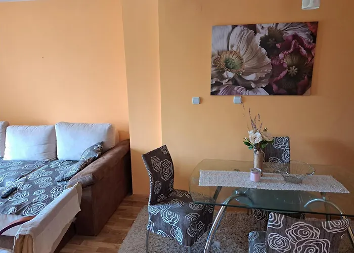 Apartment Soko Banjica *